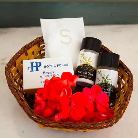 Hotel Paros Отель Парос