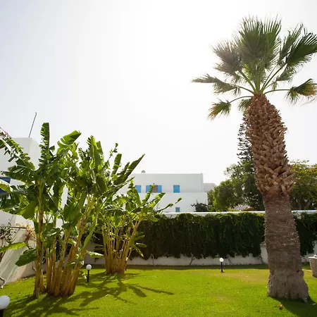 Отель Hotel Paros 3*